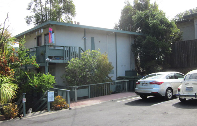 Bayo Vista Heights, exotic plants, eight unit market rate housing property in San Rafael