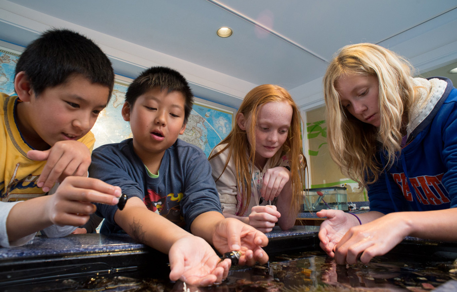 two young boys, two young girls engaging with pond wild life exhibit in classroom