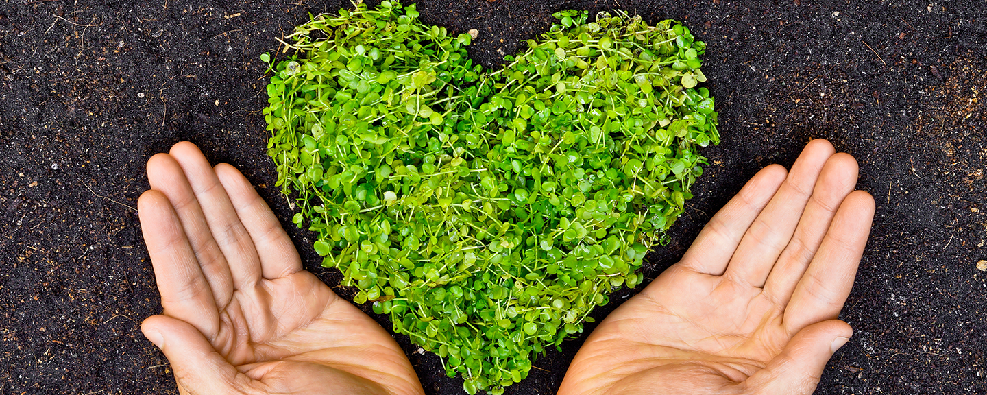 Sustainable Valentine&#39;s Day Suggestions