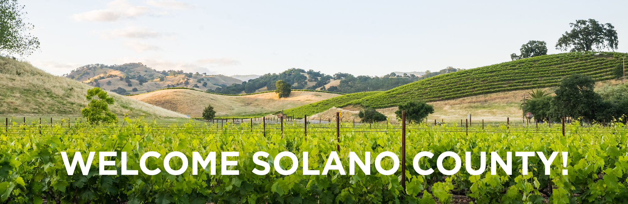 lush vineyard, hillsides, trees, agricultural land, clear sky, text overlay says Welcome Solano County