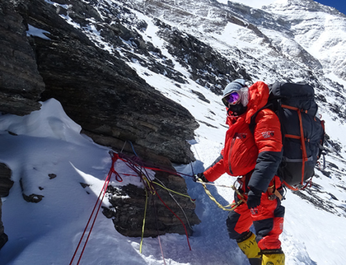 Environmentalist Spotlight: Illina Frankiv