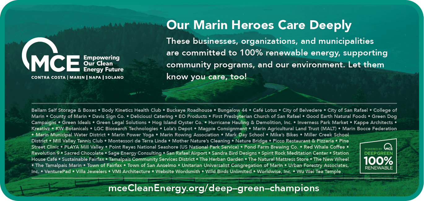Nachhaltiges Geschäftsprogramm, Beispielanzeigen, Deep Green Champion-Vorteile,