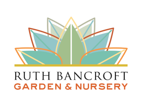 El jardín y vivero de Ruth Bancroft