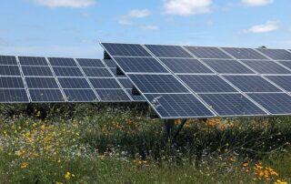 MCE Strombeschaffung, nachhaltige Energiepraktiken, bestäuberfreundliche Solarenergie