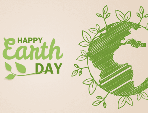 Tag der Erde 2024: Eine Zusammenfassung von MCE's Green Events!