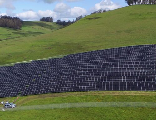 مشروع الطاقة الشمسية الجديد يبدأ تشغيله في توماليس، كاليفورنيا